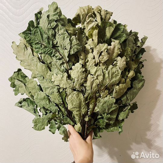 Дубовые веники для бани