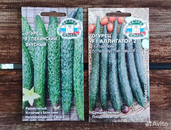 Семена Огурцов седек