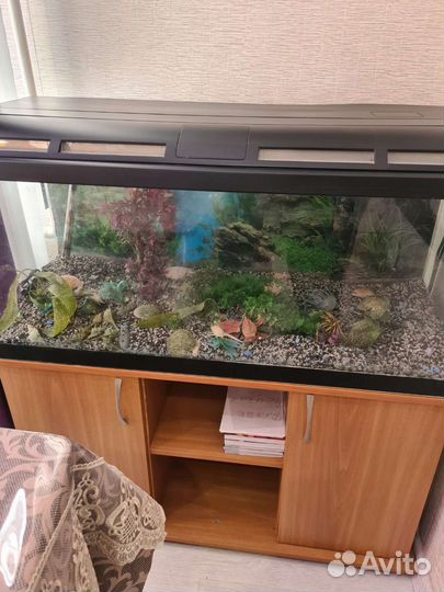 Аквариум