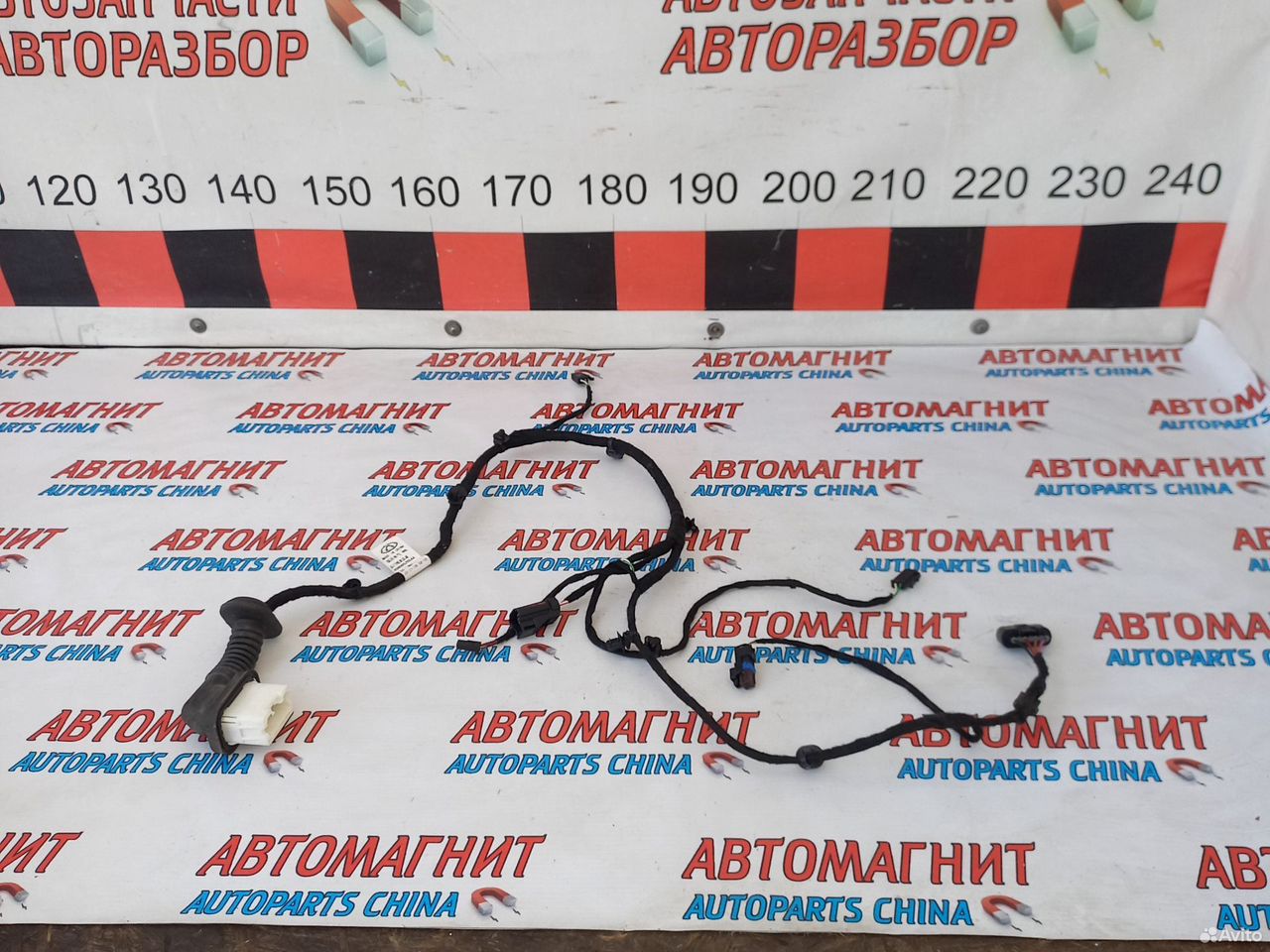 Проводка двери задней правой Омода С5