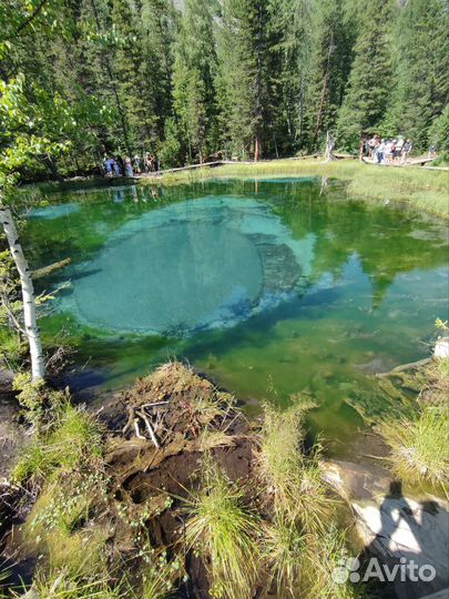 Трансфер микроавтобус