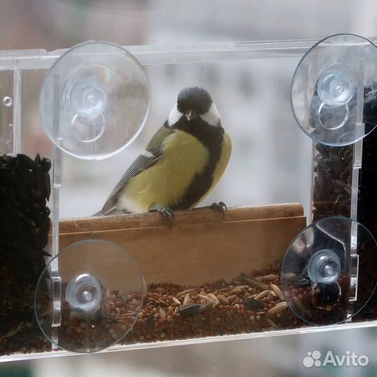 Кормушка для птиц на присосках 