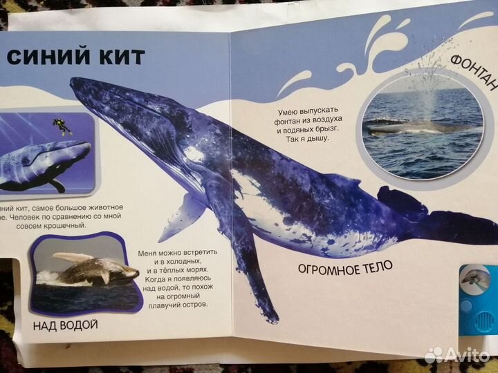 Детские книжки разные, в тч про Дядю Фёдора