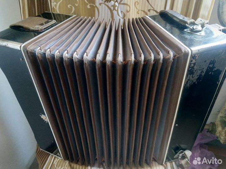 Полтава Баян