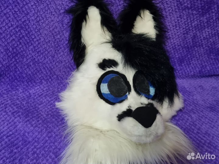 Фурсьют Лис