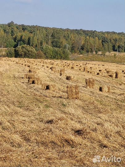 Солома в брикетах