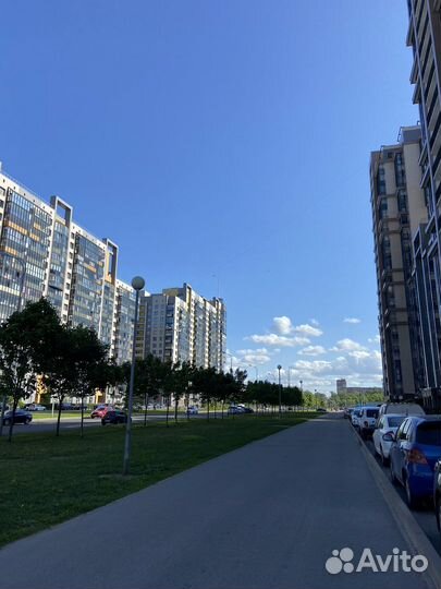 Готовый бизнес-Магазин канцтоваров и игрушек