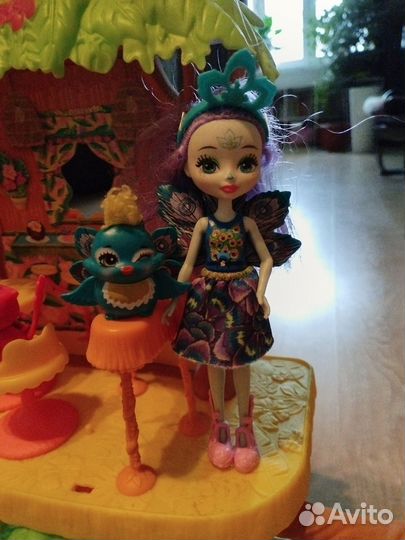 Энчентималс кафе попугаев