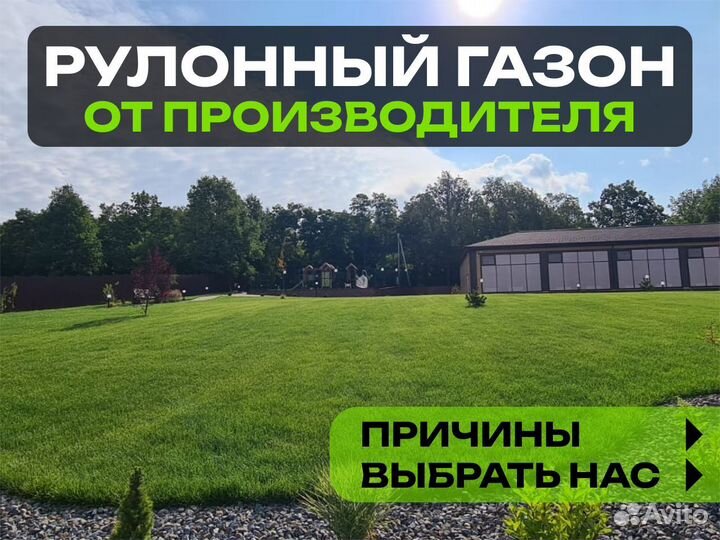 Рулонный газон Элитный. От производителя