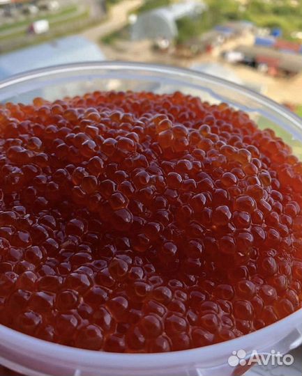 Красная икра Кеты 250 г. в Москве