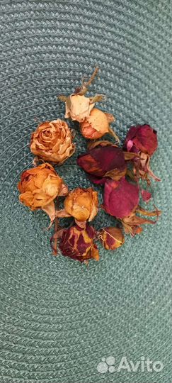 Бутоны роз. Сухоцвет. Творчество