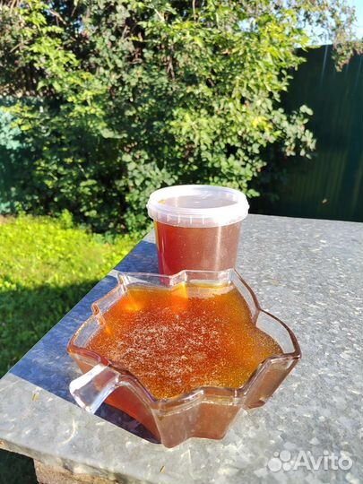 Алтайский свежий мед