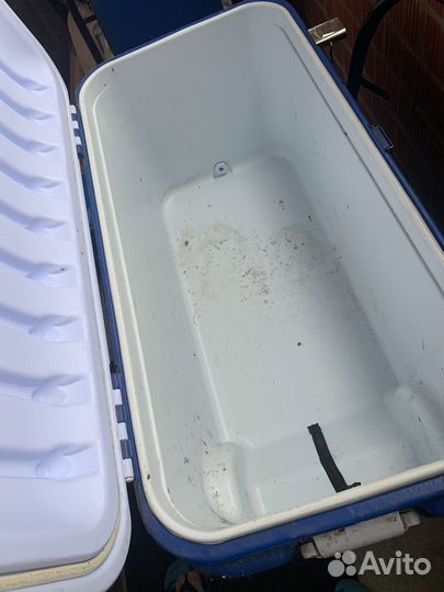 Термоконтейнер арктика