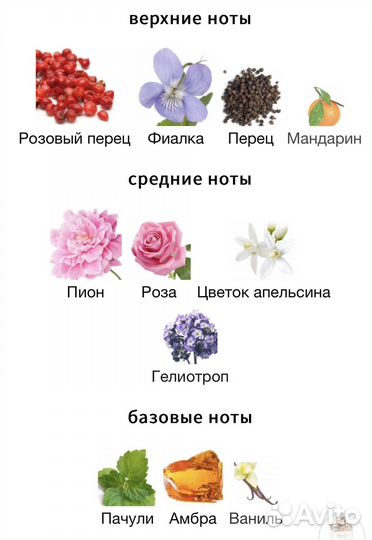 Paglieri Romae edp 100 ml