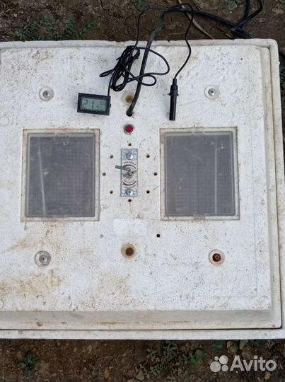 Инкубатор для яиц бу