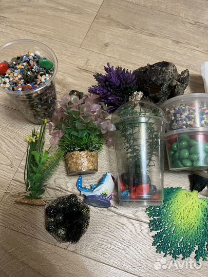 Грунт и растения для аквариума