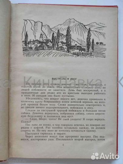 Роза свободы