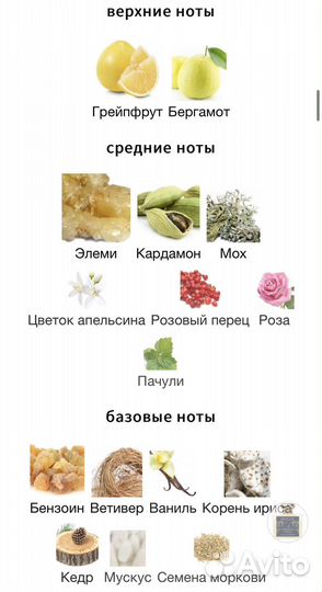 A Midsummer Dream Roja Dove