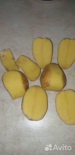 Картофелъ на хранение свежийурожай2024гС.Доставкой