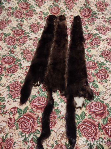 Шкурка животного норка