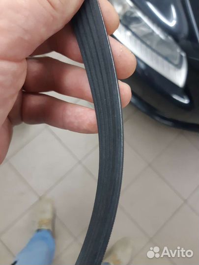 Ремень генератора Volvo