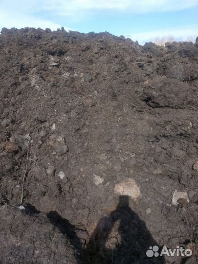 Продам перегной