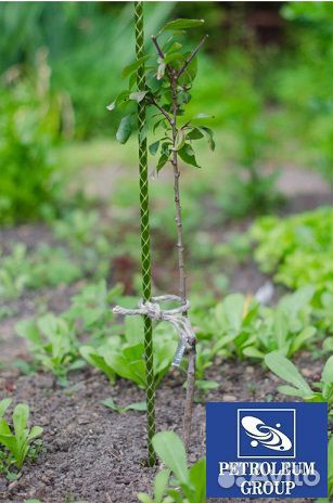 Колышки для растений