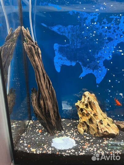 Аквариум с рыбками