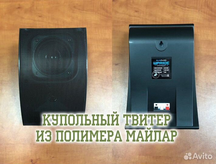 Настенная акустика cvgaudio WPA10TW