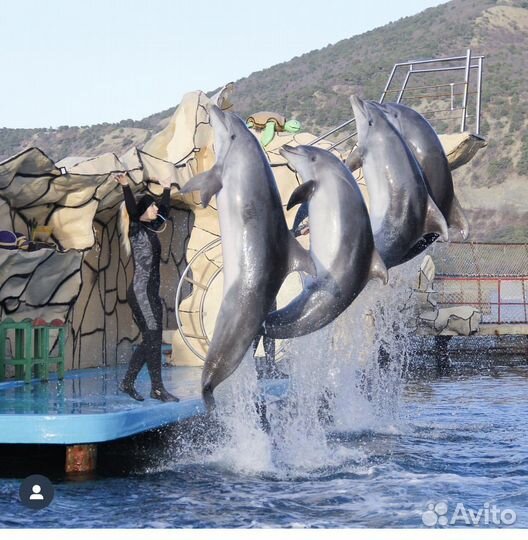 Рабочий по уходу за животными