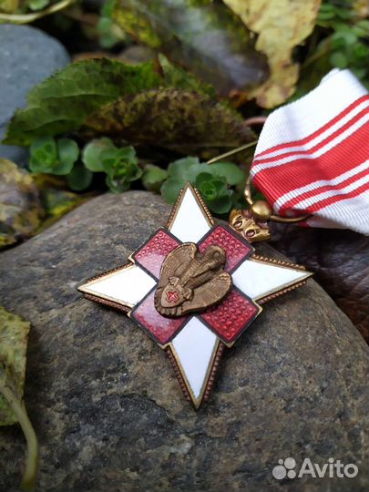 Орден медиков 1864 год