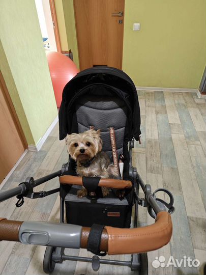 Прогулочная коляска с реверсивным блоком H B Luna