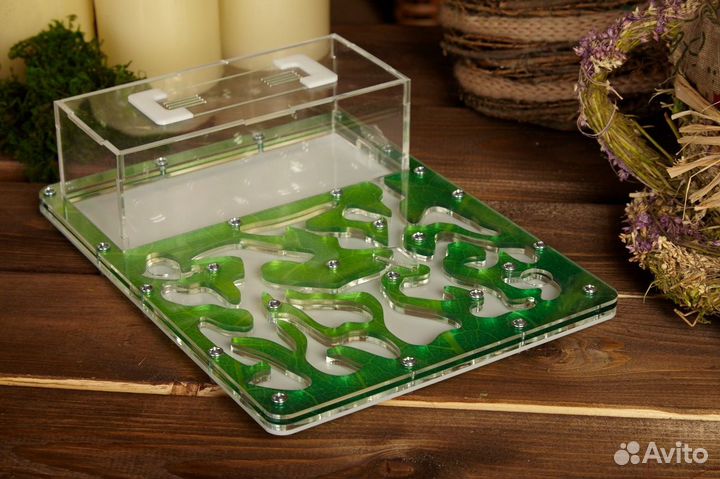 Ферма муравьиная только в Перми