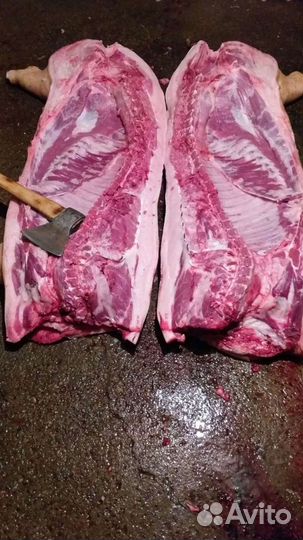 Мясо свинина в тушках