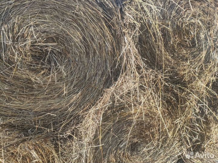 Сено в тюках