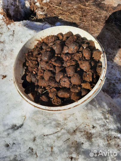 Навоз конский в мешках