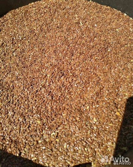 Семена льна