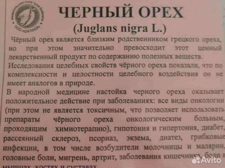 Чёрный орех