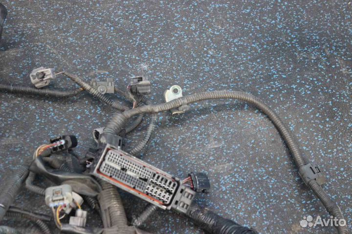 Проводка двигателя Toyota Corolla (Тойота Королла)