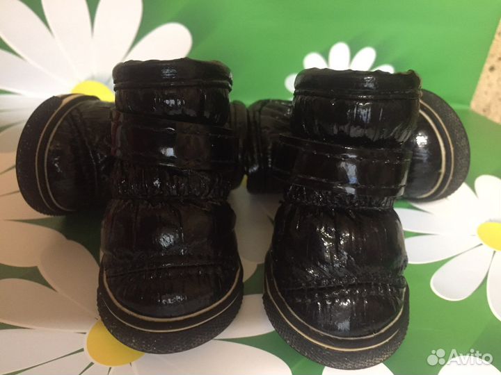 Обувь для маленьких собак