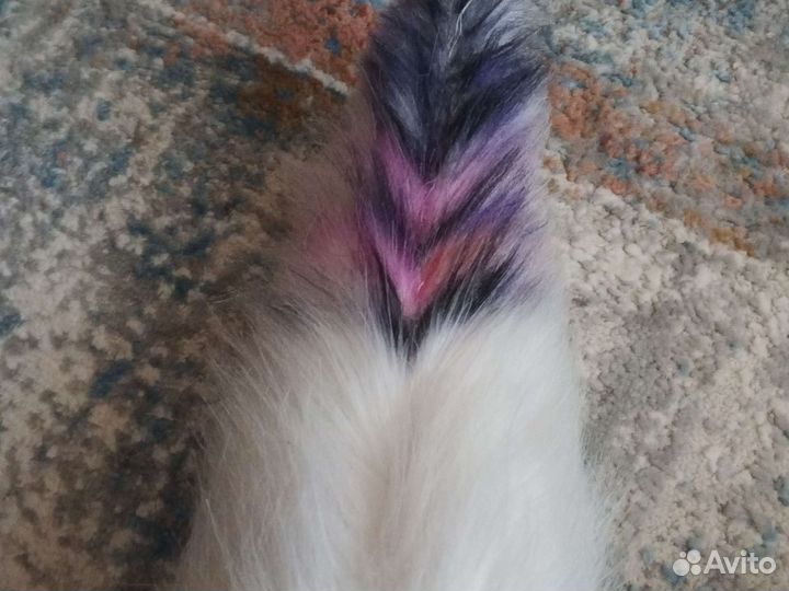 Хвост для фурсьюта