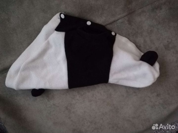 Вещи на мелкую породу собак