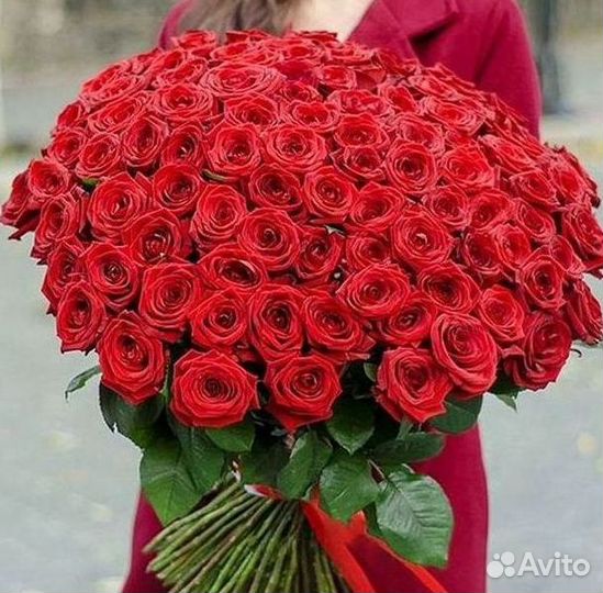 Розы Цветы Букеты 25 151 201 101 301 501 опт
