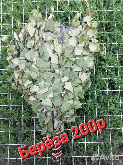 Веники для бани, запарки для бани, эфирные масла