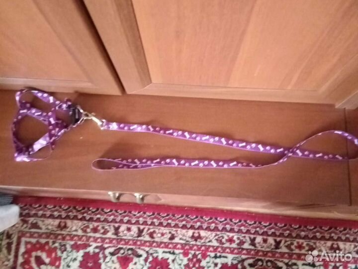 Шлейка поводок