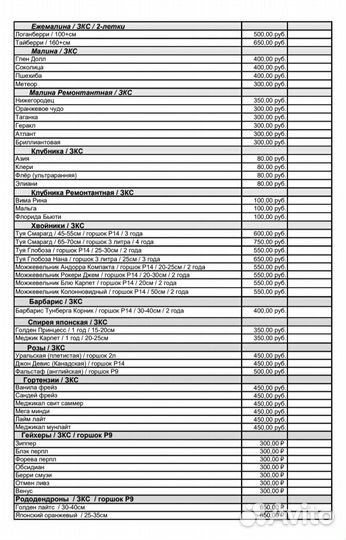 Саженцы растений