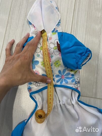 Одежда для собак