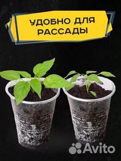 Одноразовый пластиковый стаканчик 200,300,500 мл