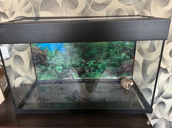 Аквариум