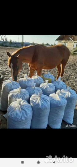 Продам навоз доставка без платно
